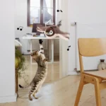 Rechargeable Flapping Bird Cat Toy - Image 5