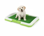 Puppy Potty Pad - Image 2