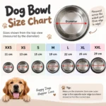 Stainless Steel Pet Bowl - Image 2