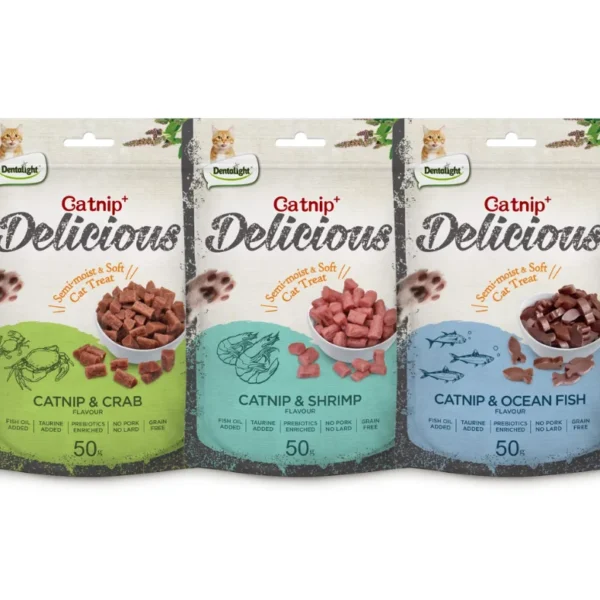 Dentalight Catnip+ Semi-Moisture Cat Treat 50g