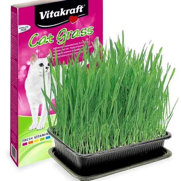 Vitakraft Cat Grass