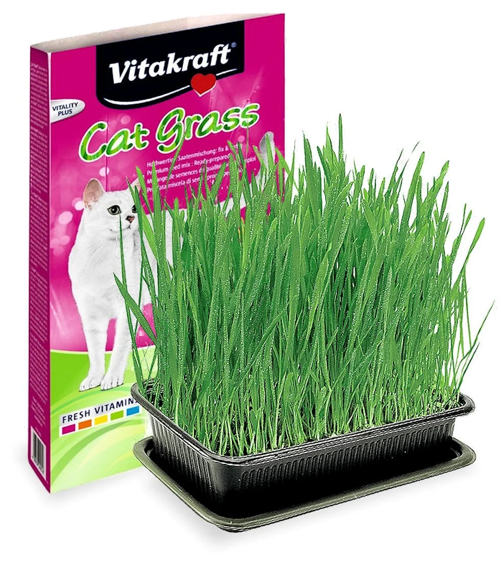 cat-grass-739011_1800x1800 Vitakraft Cat Grass - Image 1