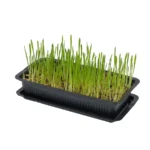 Vitakraft Cat Grass - Image 5