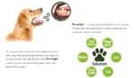 Dentalight Dent Fresh Dog Treats 18pcs-150g - Image 5