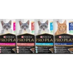 Pro Plan Specialised Cat soft Food Pouches 85g