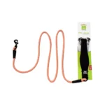 Nunbell Dog Training Lined Leash