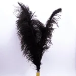 Ostrich Feathers Cat Toy