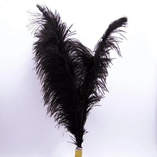 Ostrich Feathers Cat Toy