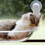 Cat Bed For Window With Capsule - Image 5