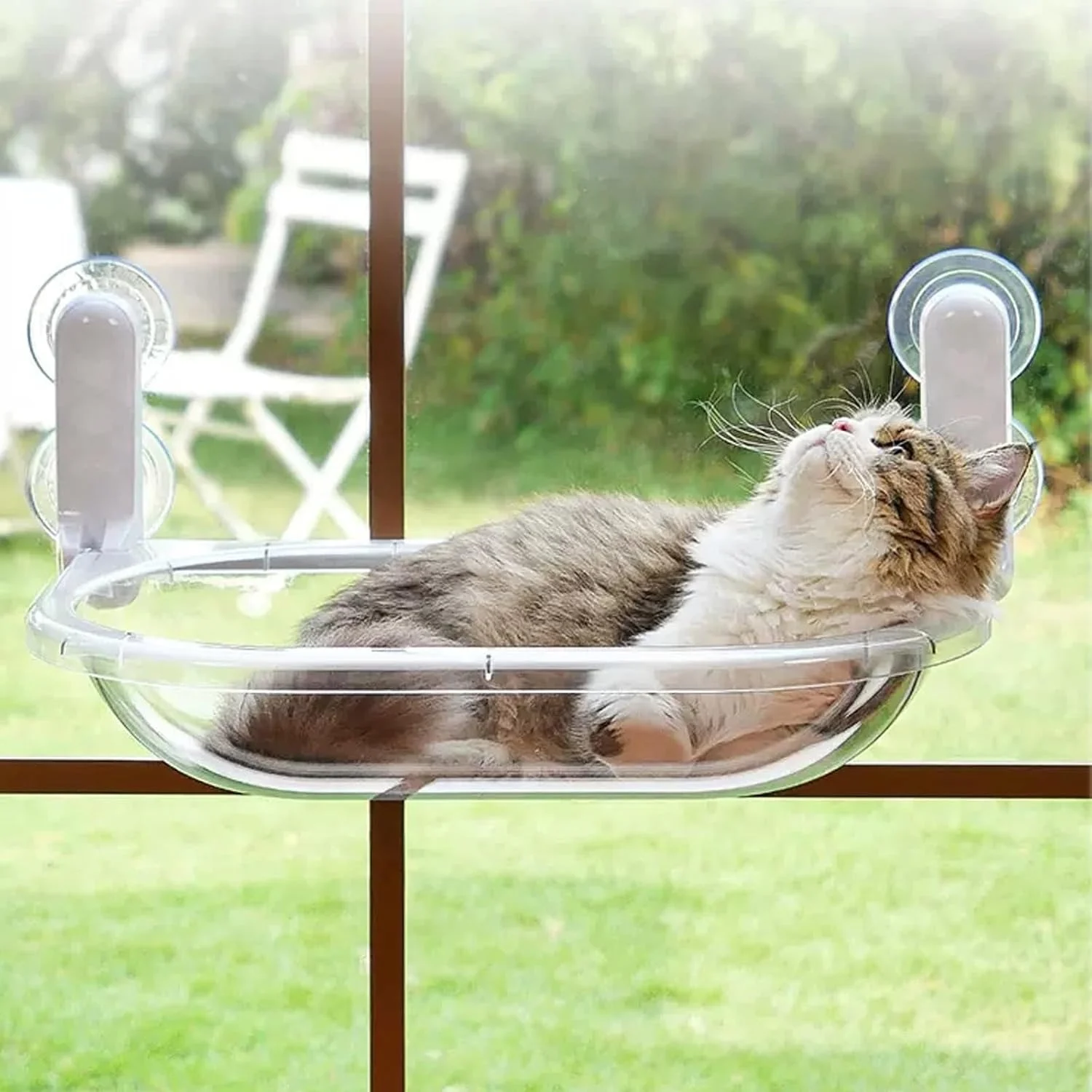 imgi_45_71I4l9ajqsL._AC_SL1500_ Cat Bed For Window With Capsule - Image 1