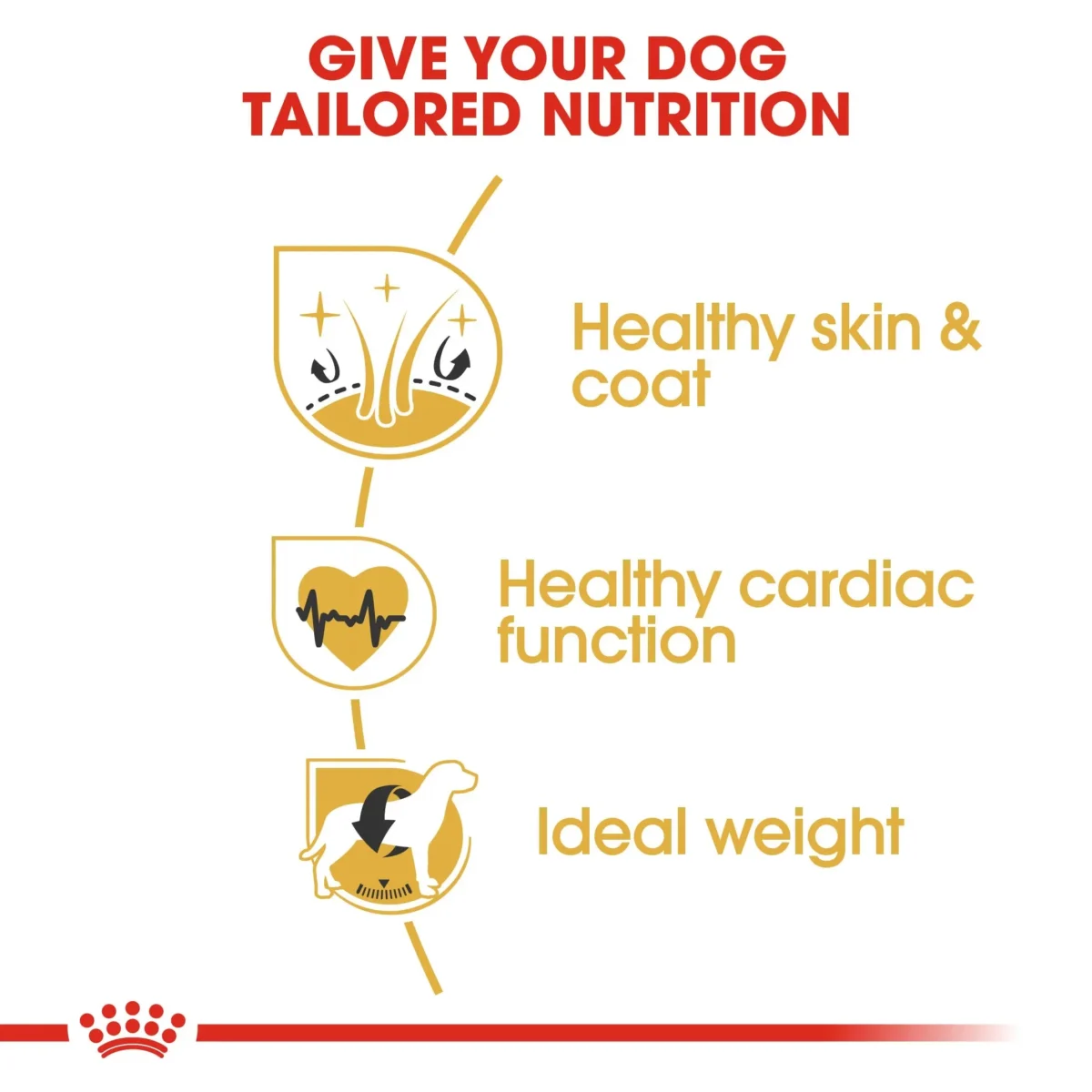 Royal Canin Golden Retriever Adult Dog Food 3Kg - Image 3