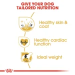 Royal Canin Golden Retriever Adult 3Kg - Image 3