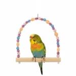 Bird Swing Toy - Image 3
