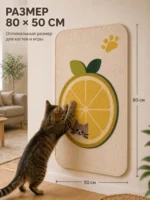 Cat Scratching Pad - Image 5