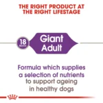 Royal Canin Giant Adult Dog Dry Food 4Kg - Image 5