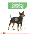 Royal Canin Giant Adult 3Kg - Image 2