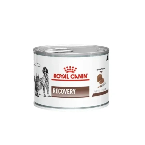 Royal Canin Wet Cat Food Can Recovery 195g