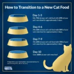 INABA Churu Entree Pate Chicken Recipe Cup Cat Soft Food (35g) - Image 3