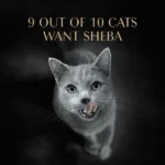 Sheba Perfect Portions Cuts in Gravy 1 plate (37.5g) - Image 6