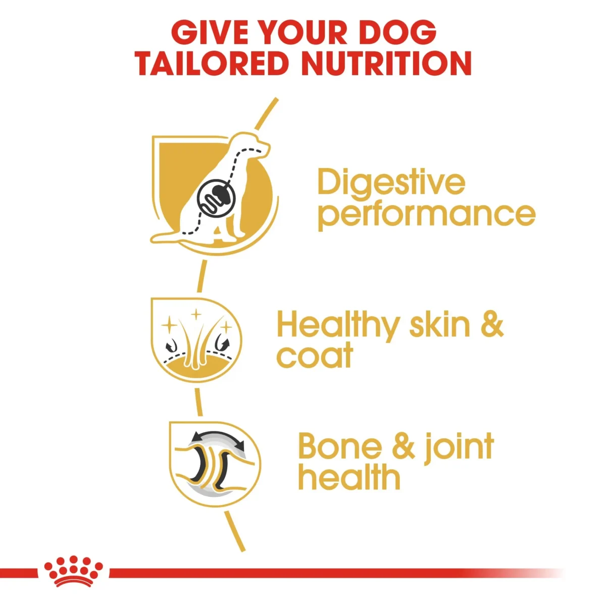 Royal Canin German Shepherd Adult Dry Dog Food 3Kg - Image 3