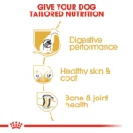 Royal Canin German Shepherd Adult Dry Dog Food 3Kg - Image 3