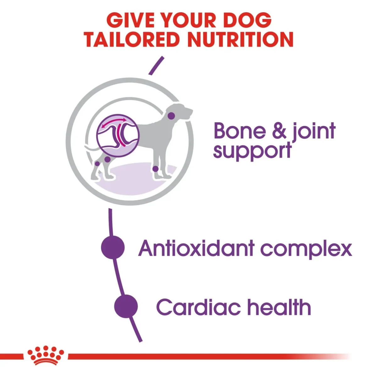 Royal Canin Giant Adult Dog Dry Food 4Kg - Image 3