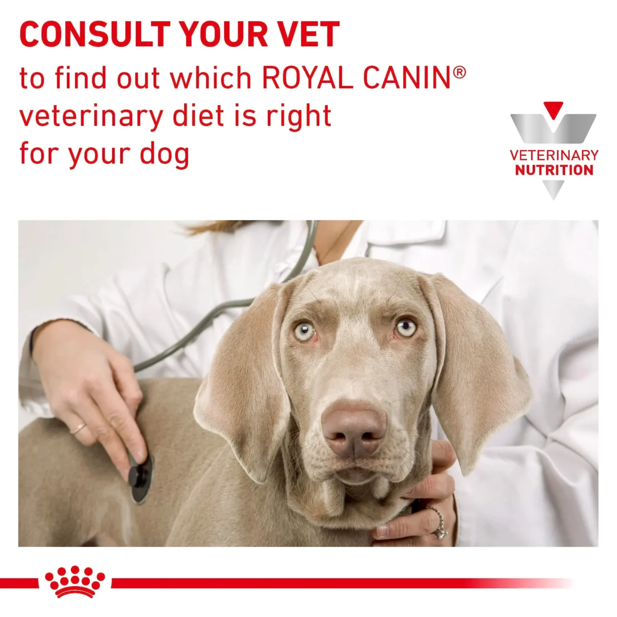 Royal canin hepatic wet dog food can 420g - Image 5